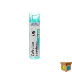 CALADIUM SEGUINUM 9CH GR 4G BOIRON