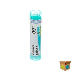 AMBRA GRISEA 9CH GR 4G BOIRON