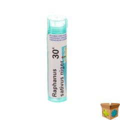 RAPHANUS SATIVUS NIGER 30K GR 4G BOIRON