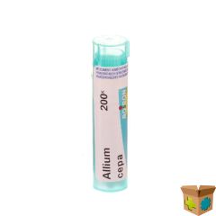 ALLIUM CEPA 200K GR 4G BOIRON
