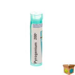 PYROGENIUM 200K GR 4G BOIRON