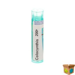 COLOCYNTHIS 200K GR 4G BOIRON