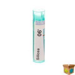 SILICEA 6K GR 4G BOIRON