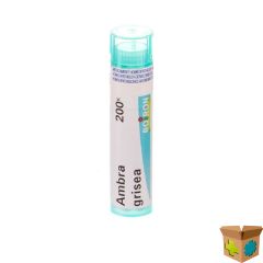AMBRA GRISEA 200K GR 4G BOIRON