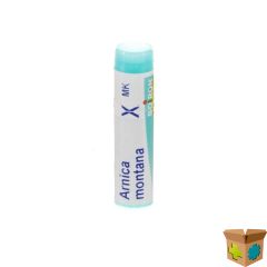 ARNICA MONTANA XMK GL BOIRON