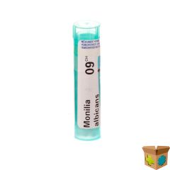 MONILIA ALBICANS 9CH GR 4G BOIRON