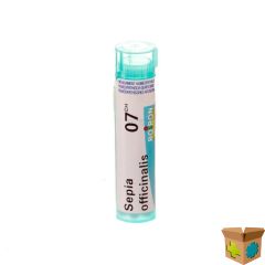 SEPIA OFFICINALIS 7CH GR 4G BOIRON
