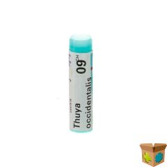 THUYA OCCIDENTALIS 9CH GL BOIRON
