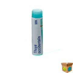 THUYA OCCIDENTALIS MK GL BOIRON
