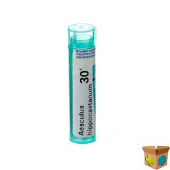 AESCULUS HIPPOCASTANUM 30K GR 4G BOIRON