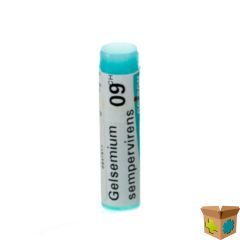 GELSEMIUM SEMPERVIRENS 9CH GL BOIRON