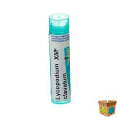 LYCOPODIUM CLAVATUM XMK GR 4G BOIRON