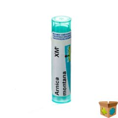 ARNICA MONTANA XMK GR 4G BOIRON