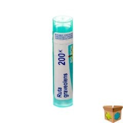 RUTA GRAVEOLENS 200K GR 4G BOIRON