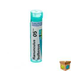 RANUNCULUS BULBOSUS 5CH GR 4G BOIRON