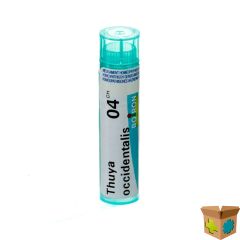 THUYA OCCIDENTALIS 4CH GR 4G BOIRON