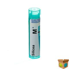 SILICEA MK GR 4G BOIRON