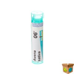 AVENA SATIVA 06D GR 4G BOIRON