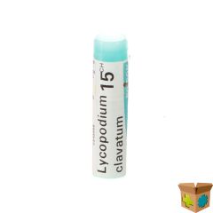LYCOPODIUM CLAVATUM 15CH GL BOIRON
